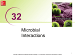 Microbial Interactions