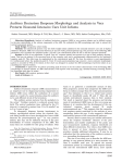 Auditory brainstem response morphology and analysis in very