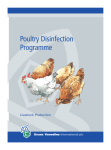 Poultry Disinfection Programme