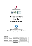 Model of Care for the Diabetic Foot