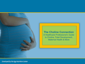 The Choline Connection