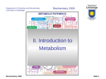 Metabolism - University of Lethbridge