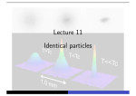 Lecture 11 Identical particles