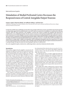 Stimulation of Medial Prefrontal Cortex Decreases