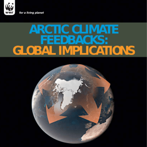 arctic climate feedbacks: global implications