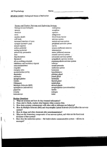 biological psychologists endorphins neuron morphine dendrite