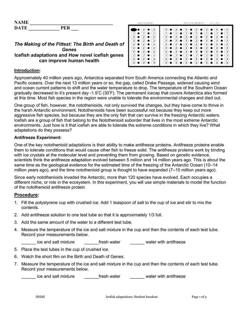 Worksheet