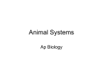 Animal Systems - attrydesclass