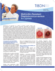 Methicillin-Resistant Staphylococcus aureus: An Update