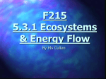 f215 ecosystems energy flow student version