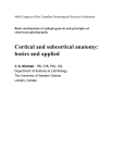 Cortical and subcortical anatomy: basics and applied