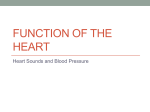 Function of the Heart