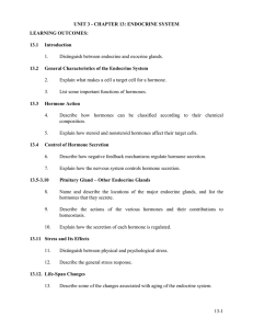 CHAPTER 13: ENDOCRINE SYSTEM