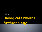 Biological / Physical Anthropology
