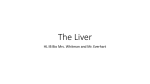 The Liver - The Practical Educator