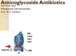 Aminoglycoside Antimicrobials. Pharmacology Prof. R. K. Dixit
