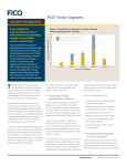 FICO™ Action Segments