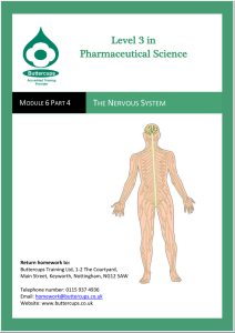 Module 6 Part 4: The Nervous System