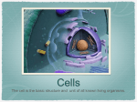 Cells