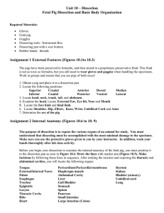 Pig Dissection Lab - Student Sheet Spring 2016