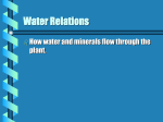 Water Relations - Academic Resources at Missouri Western