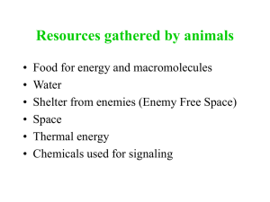 Resources gathered by animals