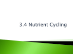 3.4 Nutrient Cycling