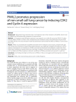 PIWIL2 promotes progression of non