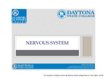 Nervous System - Daytona State College