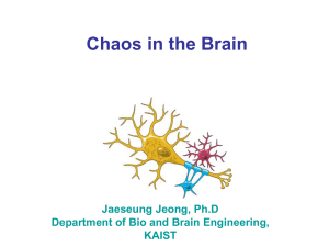 Chaos in the Brain. - Brain Dynamics Laboratory