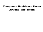 Temperate Deciduous Forest Around The World