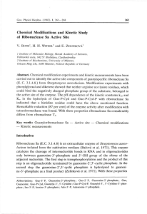 Chemical Modifications and Kinetic Study of Ribonuclease Sa Active