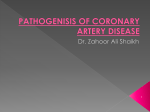 pathogenisis of coronary artery disease
