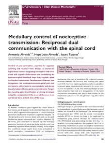 Medullary control of nociceptive transmission