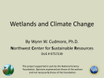 Wetlands and Climate Change