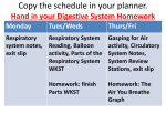 Respiratory system - Will Rogers High School