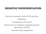 Biochemistry (2) 4 Oxidation phosphorylation