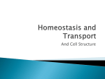 5 Homeostasis and Transport adn Cell Structure