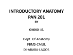 introduction-to-anatomy2