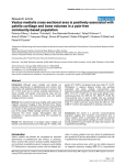 Vastus medialis cross-sectional area is positively associated with