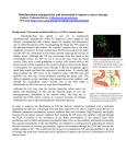 Multifunctional nanoparticles and ultrasound to - Innsida