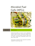 Microbial Fuel Cells - Cooper Union Open Source