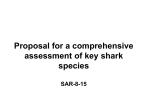 SAR-8-15 shark comprehensive assessment plan draft