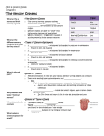 Sensory system notes fill-in