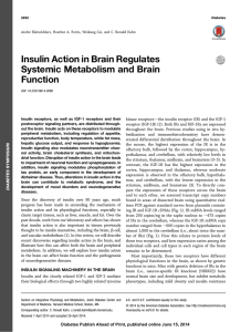 Insulin Action in Brain Regulates Systemic Metabolism