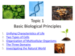 Topic 1 - Basic Biological Principles