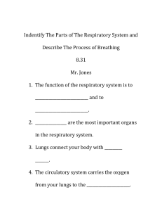 8.31Indentify The Parts of The Respiratory System