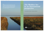 The Wadden Sea in an international perspective