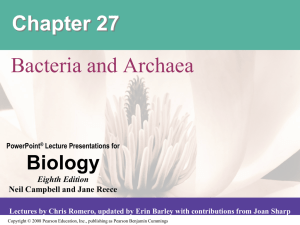 Chapter 27(Bacteria and Archaea)