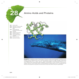 Amino Acids and Proteins